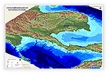 Zoom Image