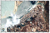 Zoom Image...