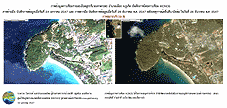 Zoom Image...