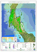 S Muifa Index